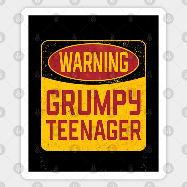 13th Birthday - Warning Grumpy Teenager Magnet by Kudostees